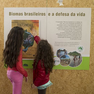 2017_10_29_brincar_dia_das_criancas_12_20171031_1256236596 3072 800 600 80 rd 255 255 255